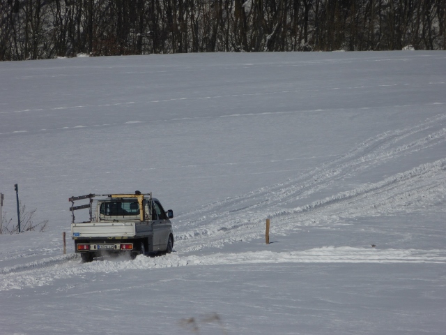 P1000162 (640x480).jpg