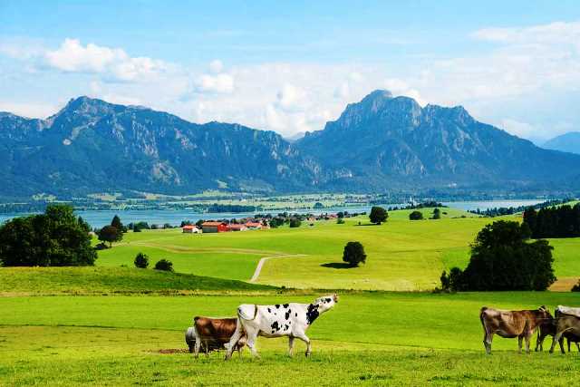 Allgäu.jpg