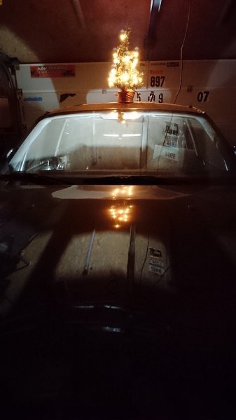 DSC_5885_web.jpg
