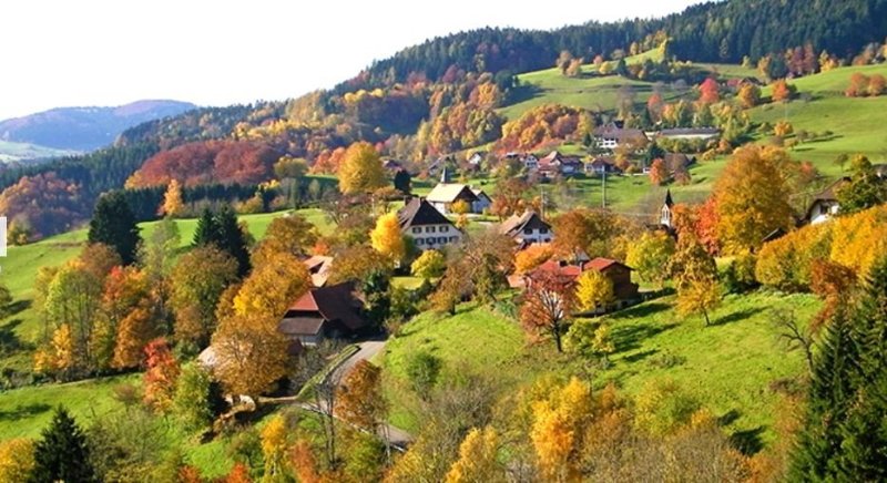 typisch Schwarzwald.jpg