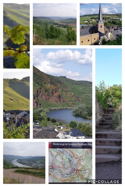 Collage 2019-08-16 12_14_25.jpg