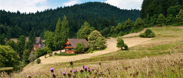schwarzwald-landschaft.jpg