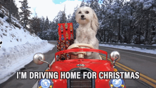 driving-home-for-christmas-merry-christmas.gif